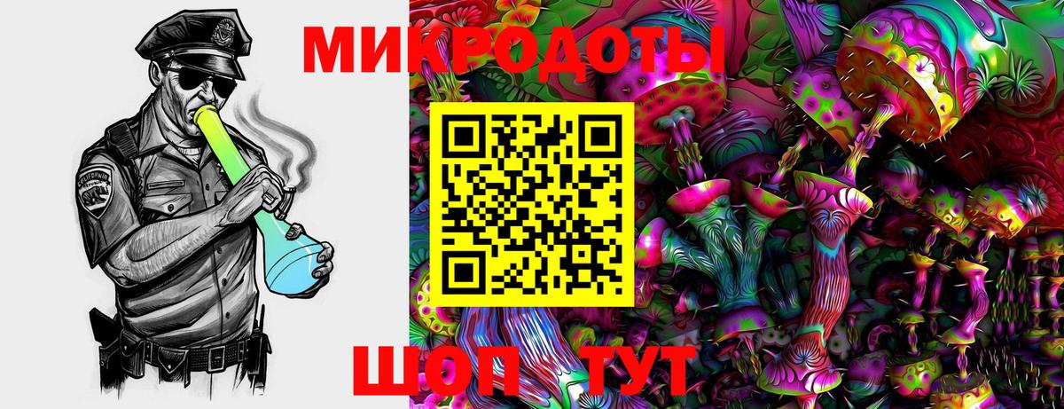 Советская Гавань  Псилоцибиновые грибы Psilocybe  Вход с VPN 