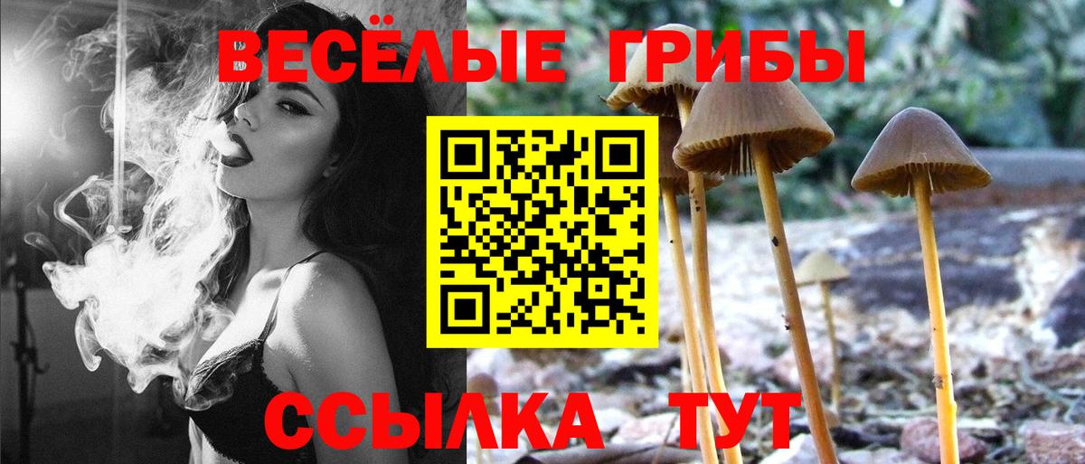 Псилоцибиновые грибы прущие грибы Советская Гавань